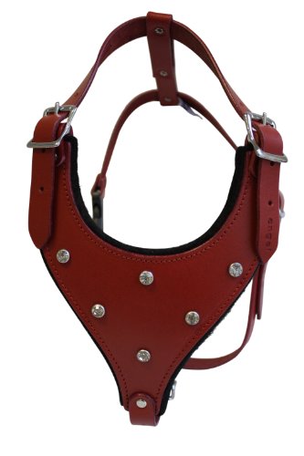 Rétalonnements en cuir Bling Dog Harness, Med, Red, 100% authentique cuir argentin (Malibu) pour Med. Races. Cou: 10,5 "- 20,5". Coffre: 20 "-27"