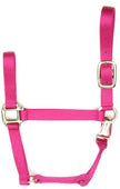 Accent Coastalpet 1 pouce Couleur solide Halter de cheval premium avec Equi-Snap