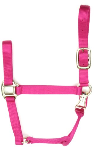 Accent 1-Inch Wide Premium Halter for Yearlings, 500 to 800-Pound, Pink Flamingo