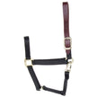 Accent Coastalpet 1 pouce Lalter pour les chevaux