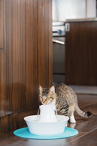 PetSafe Drinkwell Avalon Pet Water Fountain, Ceramic Drinking Fountain for Cats and Dogs, 70 oz. Water Capacity