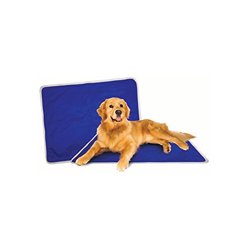 Ethical Pet 1007 Cool Your Pet Mat Medium 15.8 X 19.7 inch