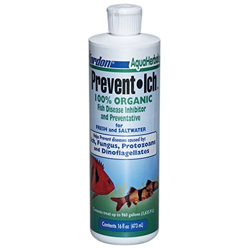 Kordon AA8075 Prevent Ich Disease Preventative 1 Gallon