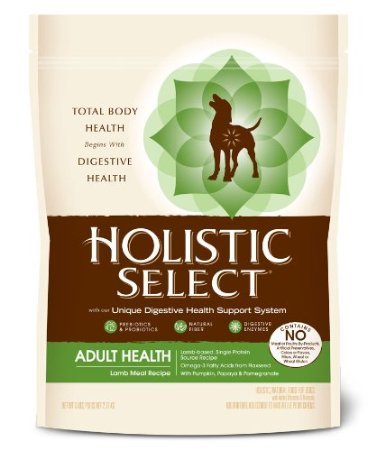 Formule d'agneau de santé adulte sélectionné holistique Alimentation pour chiens secs