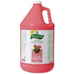 Professional Pet DD7091 AromaCare Cactus Shampoo 1 Gallon