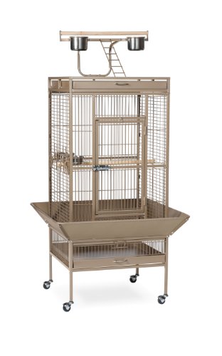 Prevue Pet Products Wrought Iron Select Bird Cage, 24-Inch by 20-Inch by 60-Inch, Coco Brown