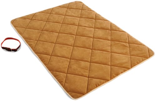 Chien devenu Smart Microfibre Throw 45 x 58 kaki