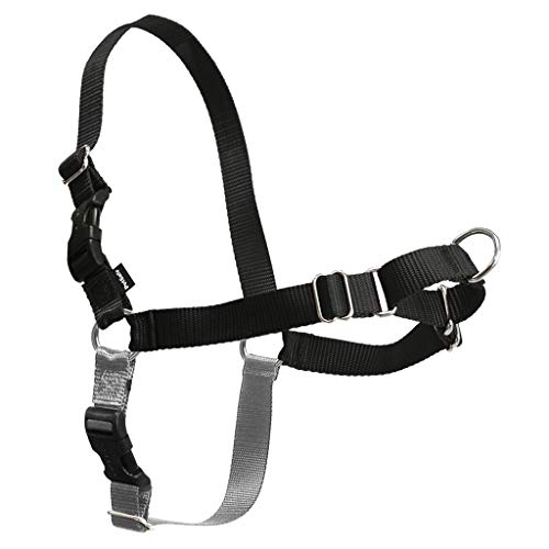 Premier Easy Walk Pet Harness, Large, Black/Silver