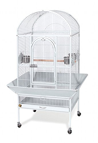 Prevue Pet Dometop Parrot Cage