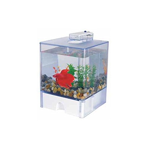 Aqua-Fit AA6653 Betta Box2 with LED Light