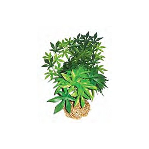 Aqua Globe AA2687 Silk X-Large Green Maple Tree