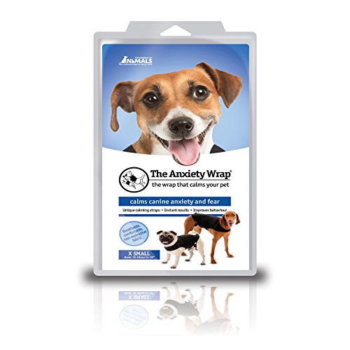 La compagnie des animaux enveloppez l'anxiété