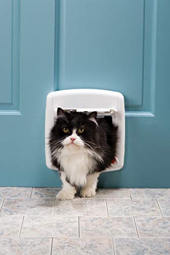 PetSafe à 4 voies Verging Vergage de chat