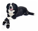 Muttluks Original All-Weather IB to XXL Dog Boots, 4 Pack
