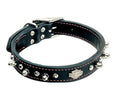 Coastalpet Harley-Davidson en cuir collier en noir 1 