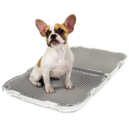 Modko shake dog potty pip pad en blanc