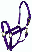 Coastalpet Hamilton a gradué le licou de luxe avec un ajustement Equi-Snap et le menton 1 pouce (violet, petit)
