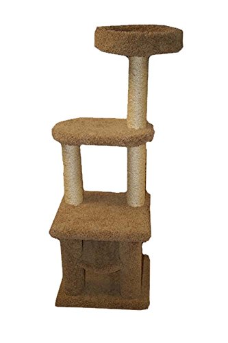 North American Pet 49633 Classy Kitty Cradle Double Pirch