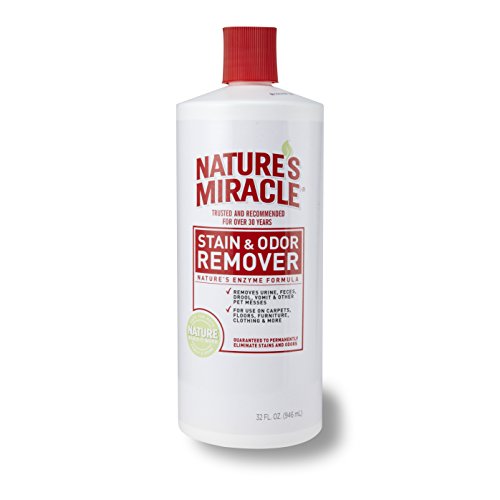 Nature's Miracle Stain & Odor Remover Gallon (512504)