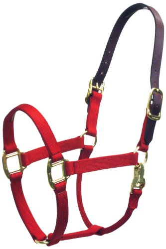 Accent 1-Inch Wide Turnout Halter for Average Horses, 900 to 1300-Pound, Red
