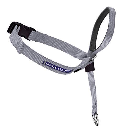 Radio Systems PRP-GLQHCPSI Gentle Leader Quick Release Headcollar, Petite, Silver