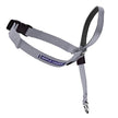 Radio Systems PRP-GLQHCPSI Gentle Leader Quick Release Headcollar, Petite, Silver