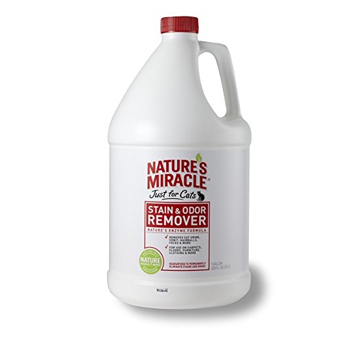 Nature's Miracle CC1346G Just for Cats - Cat Stain & Odor Remover Gallon