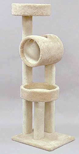 North American Pet 49470 Classy Kitty Playground avec tunnel et deux nids 59 po.