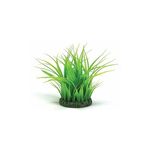 Reef One Biorb Easy Plant Aquatic Grass Ring in Green