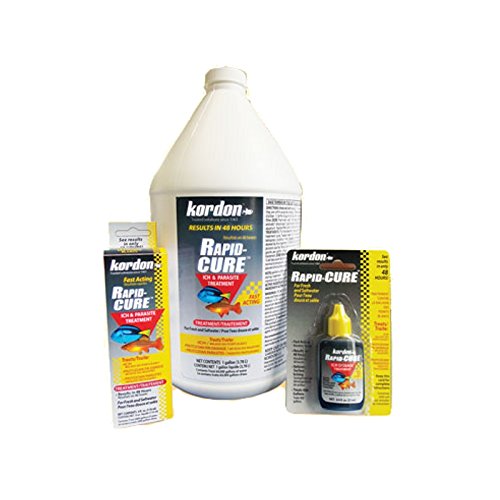 Kordon AA8087 Rapid Cure Ich & Parasite Treatment 1 Gallon