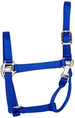 Coastalpet Accent Deluxe Halter with Equi-Snap & Chin Adjustment 3/4 inch (Blue)