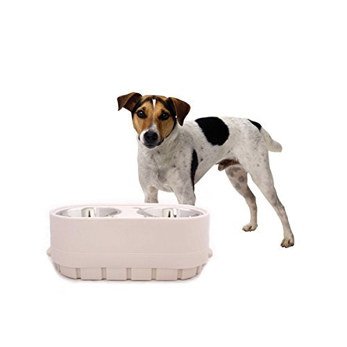 Notre magasin d'animaux de compagnie-n - Feed Adjudable Soured Dog Bowl Feeder