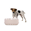 Notre magasin d'animaux de compagnie-n - Feed Adjudable Soured Dog Bowl Feeder