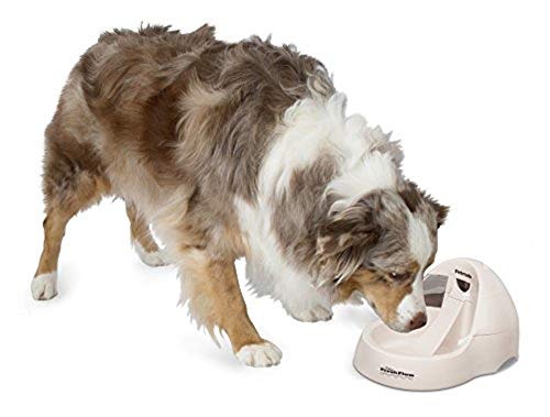 Petmate Deluxe Fresh Flow