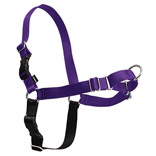 Premier Easy Walk Dog Harness, Medium/Large, Deep Purple