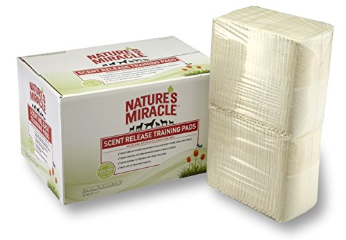 Nature's Miracle NM-5377 Tampons d'entraînement parfumés à la floraison 100CT