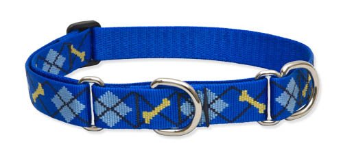 Canadog Canicross Starter kit Designer and Vivid