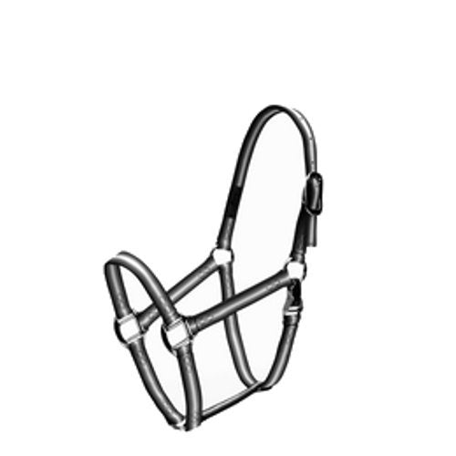 Coastalpet a gradué le licou premium avec Equi-Snap 3/4 pouces