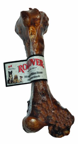 Rollover viande de boeuf dino