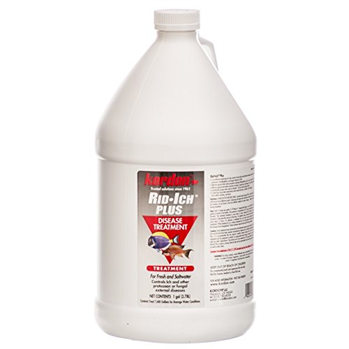 Kordon AA8068 Rid Ich Plus Disease Treatment 1 Gallon