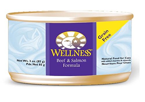 Bien-être complet de la santé du bœuf et du saumon aliment pour chats en conserve