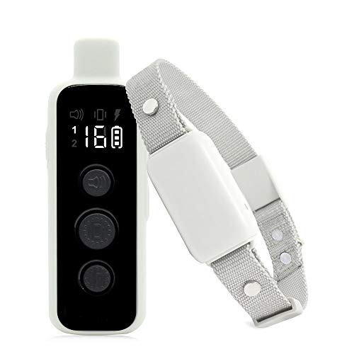 Collier de formation pour chiens, collier de choc pour chiens haolide avec 3 modes de formation Remote Range de 2000 pieds RECHARGAGE 16 NIVEAUX DE SHOCK IPX7 Collier imperméable