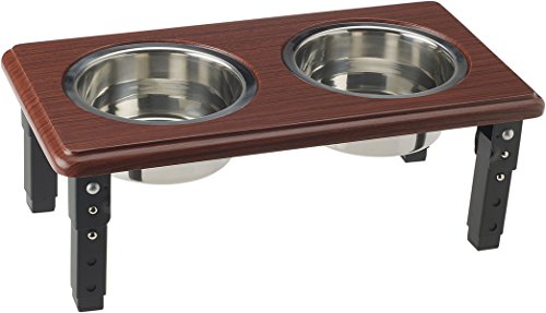 Produits pour animaux de compagnie éthiques (spot) DSO5855 Posture Pro en acier inoxydable Double animal de compagnie, 2 quart, cerise