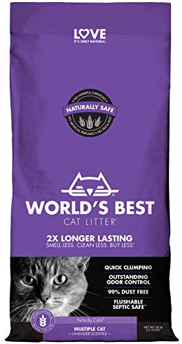 World's Best Cat Litter WB00611 Quick Cat Clumping Formula, 14 lb