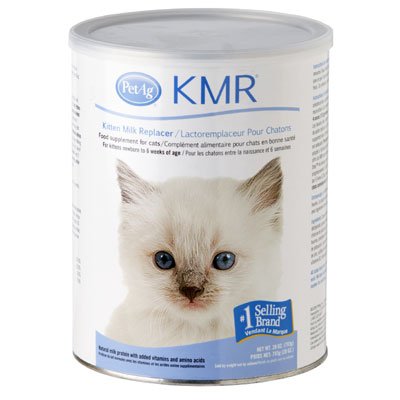 Poudre KMR Petit