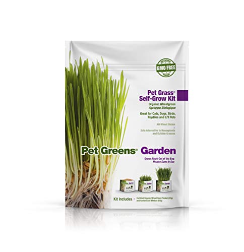 Bell Rock Growers Pet Greens Garden