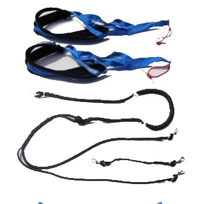 Canadog Skijor Starter Kit Sport For One Dog