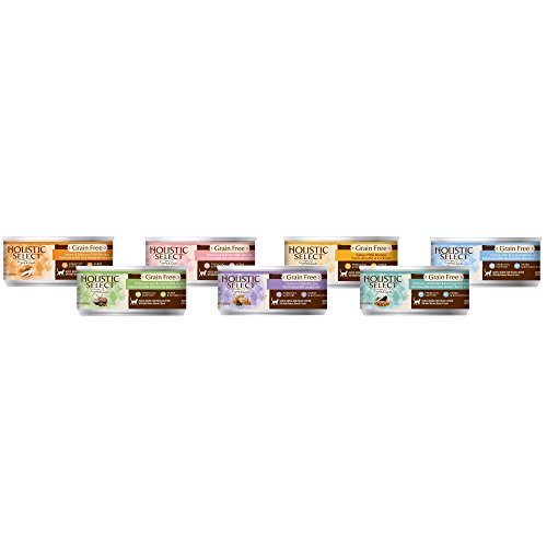 Gift Basket Holistic Select Grain Free Canned Food for Adult Cat or Kitten (24/5.5OZ)
