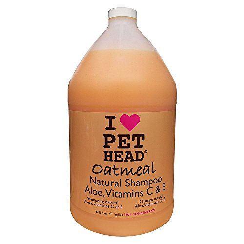 Tête d'animaux de compagnie 31284 Concentré de shampooing naturel à la farine d'avoine 1 gallon