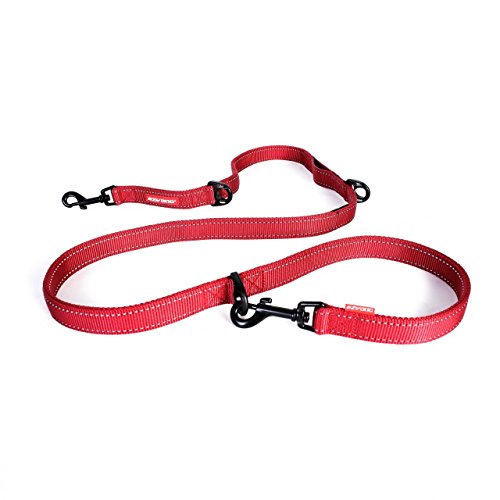 EzyDog Vario 6 Multi-Function Dog Leash With Snap Hook (Red)